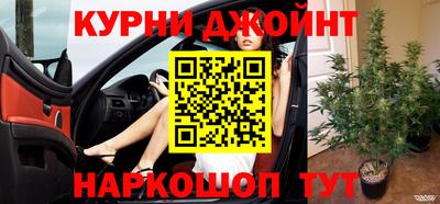spice Дубна
